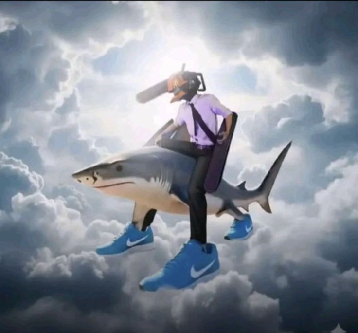 🦅 (@iisarxs) on Twitter photo 