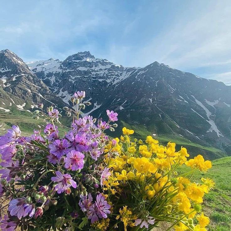 بینینێک شتەکان تازە دەکاتەوە 
دڵەشکاوەکان چاک دەکاتەوە
دکــــتور نـیــــە بـــیـنـیــن
بــریــن سـاڕێـژدەکـاتـــەوە
ئەوەی ڕۆیی رابردویەکی تاڵە
بینینت بۆ من هزار دەواو دەرمانە...