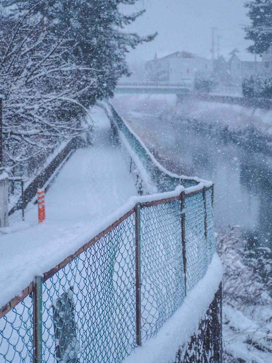 かむねま (@calmness_ofmind) on Twitter photo 