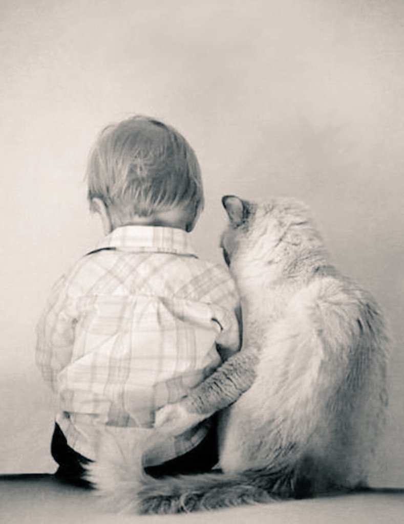 La gentilezza è un linguaggio che i sordi possono sentire, i ciechi possono vedere e gli animali possono comprendere.❤️
Buongiorno a bella gente ❤️❤️🌷