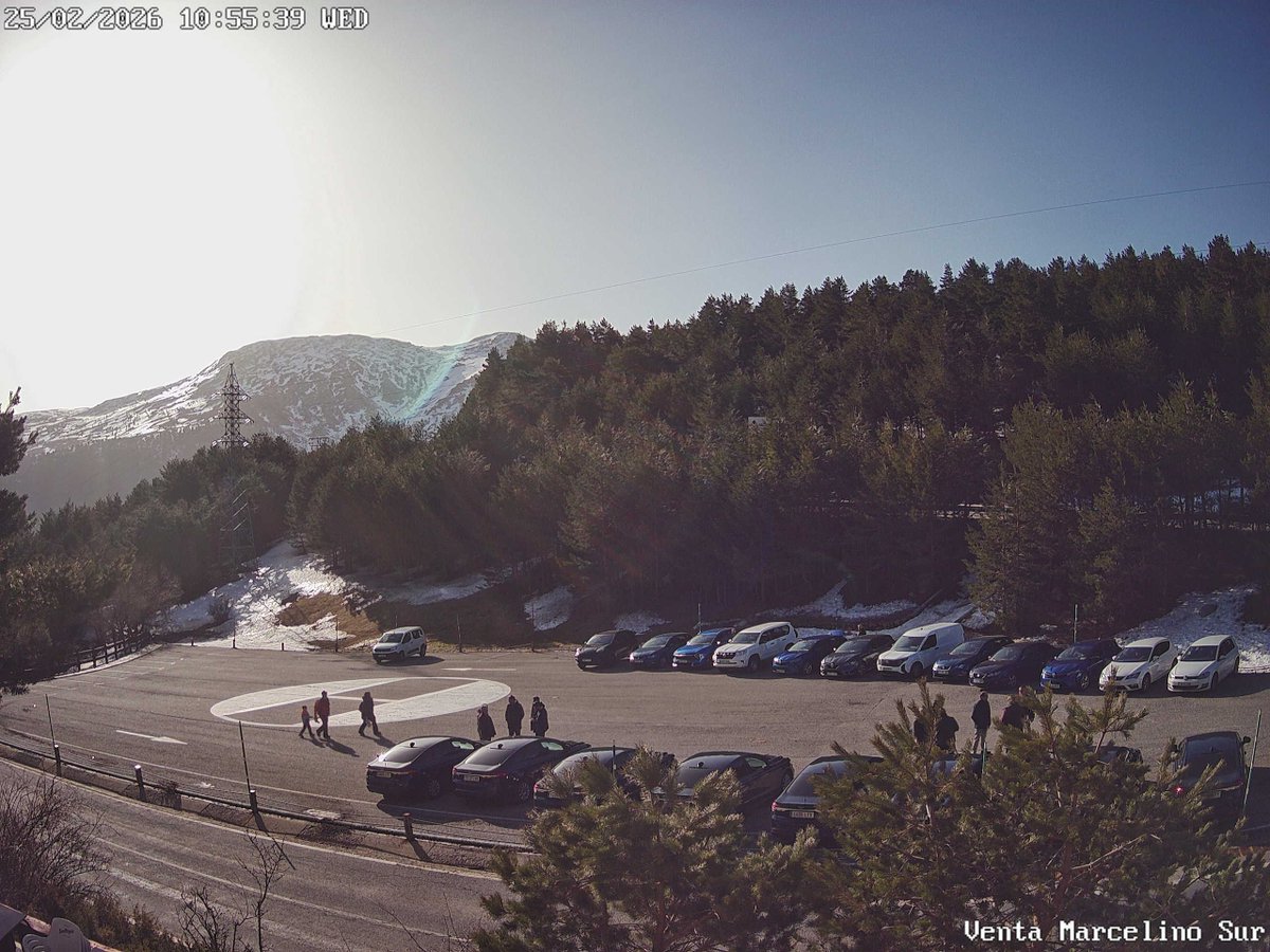 Discus 2cT tweet media