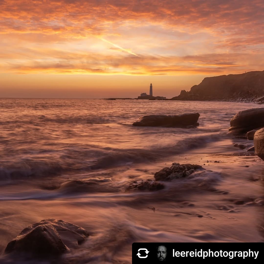 North East Tweets tweet media