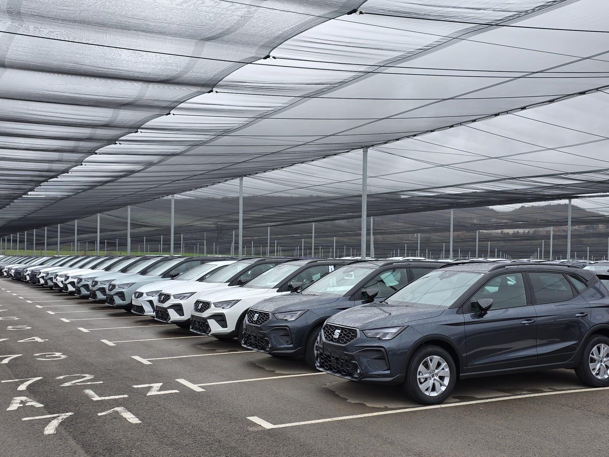 PSC Anoia/❤️ tweet media