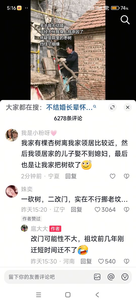 过节要 tweet media