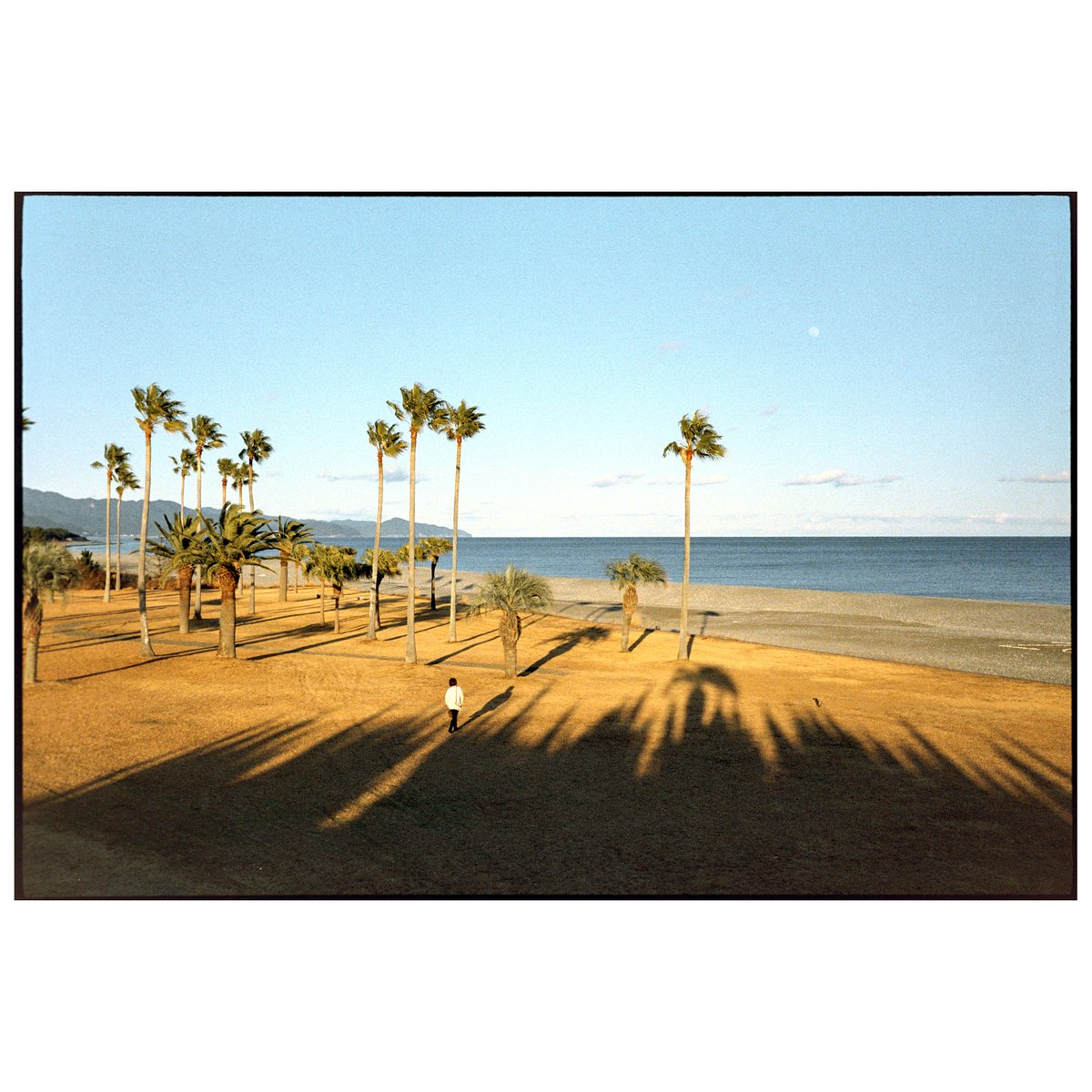 Mihama, Mie 2026.2
film