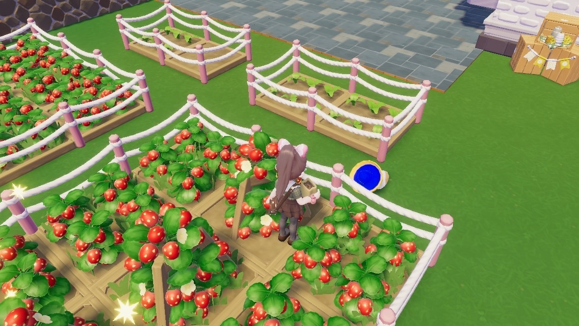 HEARTOPIA FESS tweet media