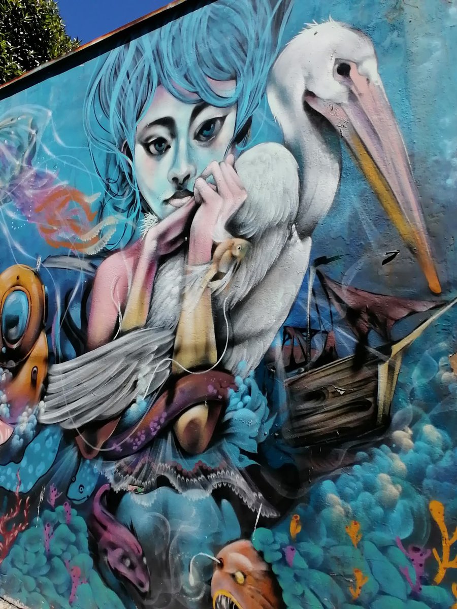 manuelima tweet media