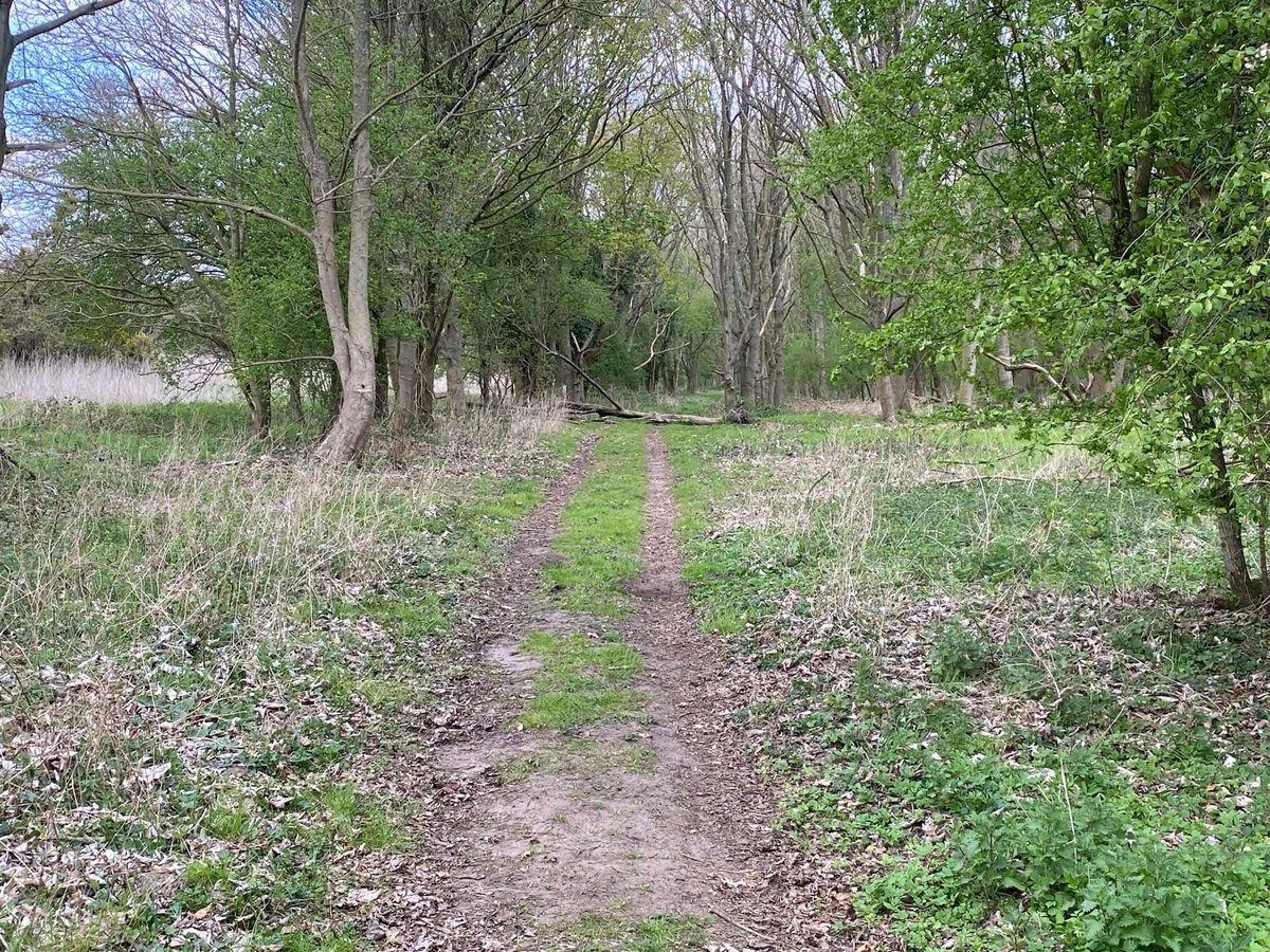 RunBreckland tweet media