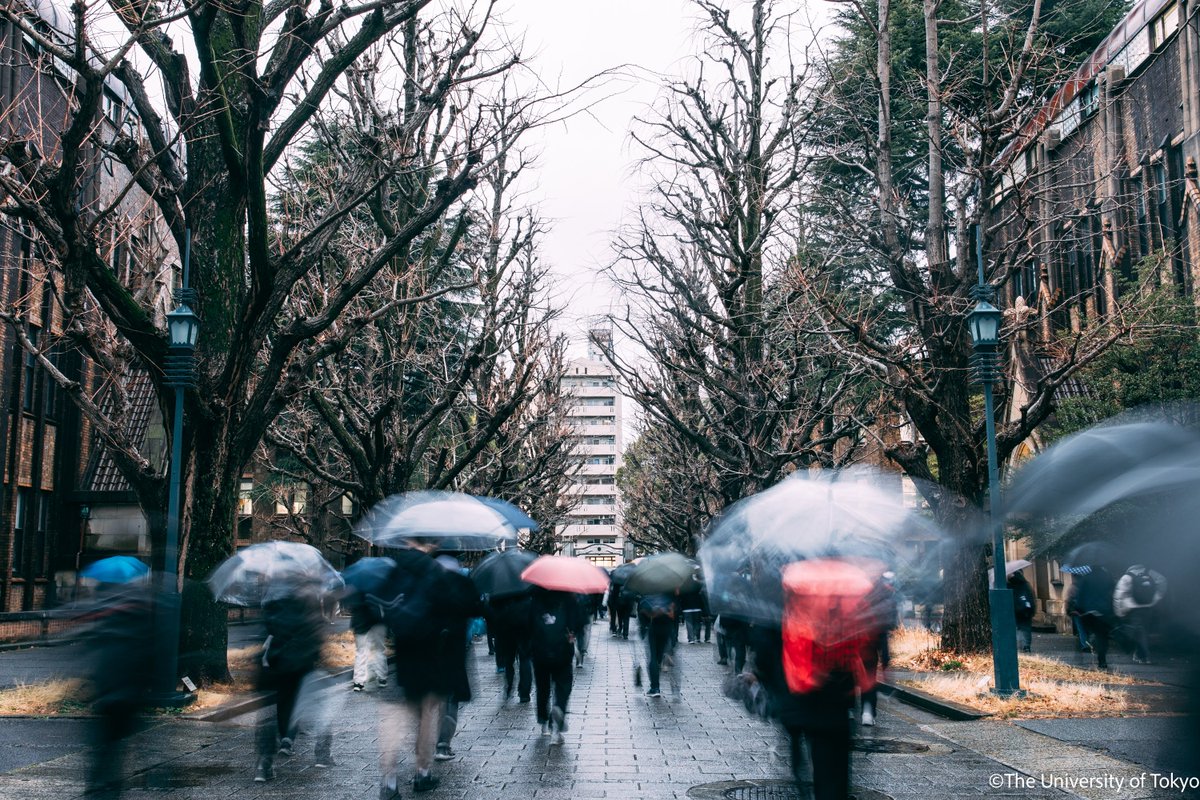 東京大学 | UTokyo tweet media