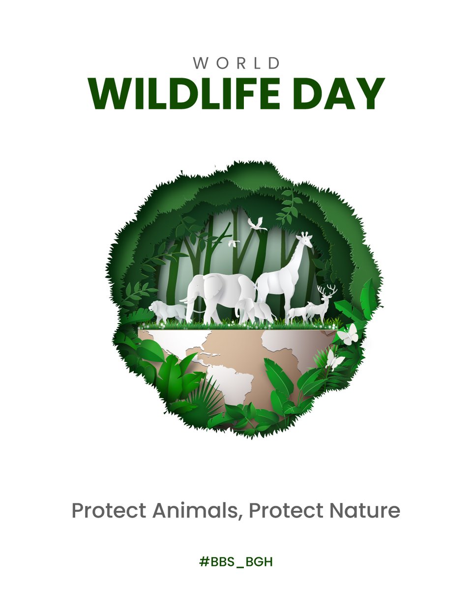 BBS_BGH's tweet photo. Wildlife is a precious gift of nature. 🌍
Let’s learn to care, protect, and respect animals and their homes. Every small step matters! 💚
#WorldWildlifeDay #SaveAnimals #LoveNature #StudentAwareness #EcoLearning #balbhartischool #BBS_BGH #Bahadurgarh https://t.co/cZXOlFYOda