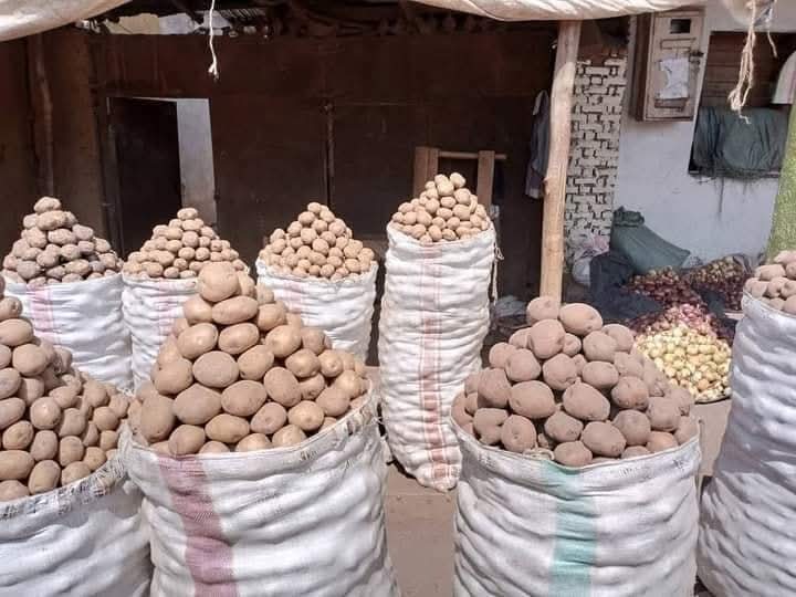 MagazineJimbere's tweet image. 📉 Les produits vivriers issus de #Kayanza(@PButanyerera) connaissent une baisse notable des prix. Les pommes de terre, qui se vendaient entre 1 500 et 2 000 FBU selon la qualité, s’échangent désormais entre 1 300 et 1 600 FBU le kg

🧅 Les oignons suivent la même tendance.