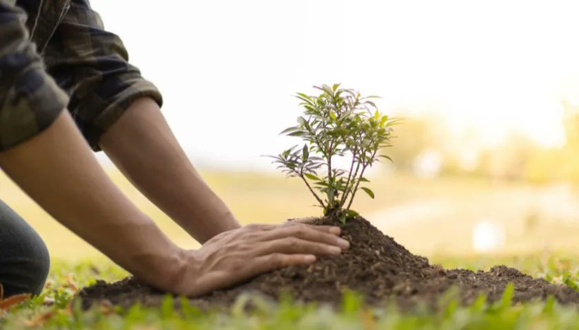 Torres Vedras | Ação de Plantação -"Jardins Públicos Biodiversos" jornaldemafra.pt/torres-vedras-…