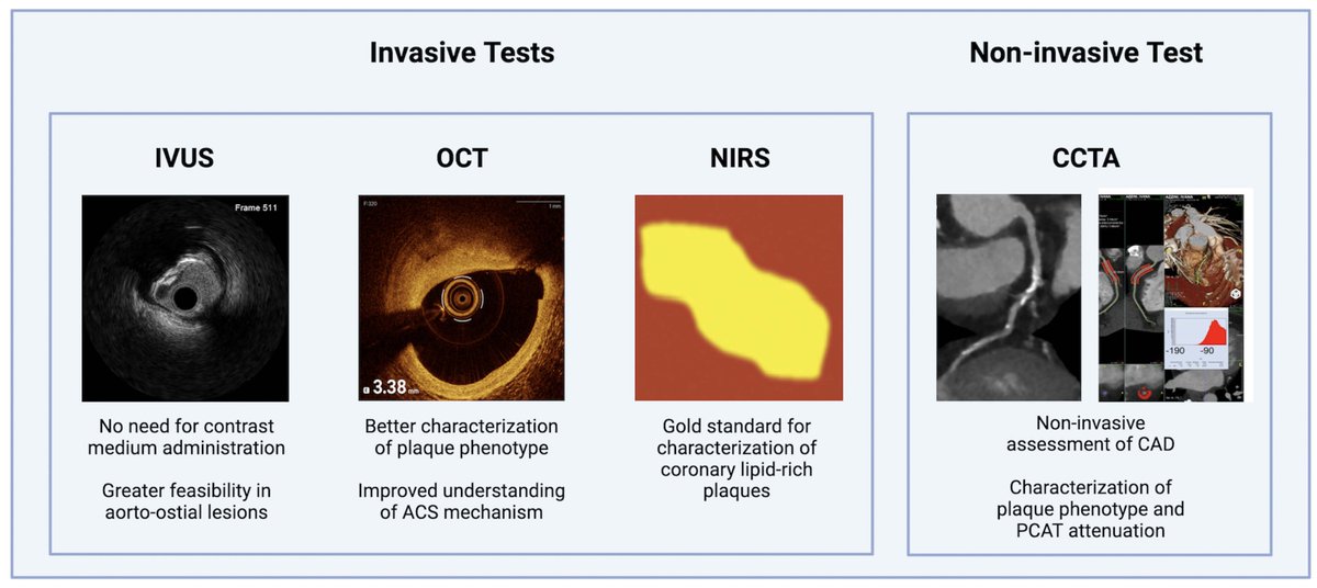 Reviews in Cardiovascular Medicine tweet media