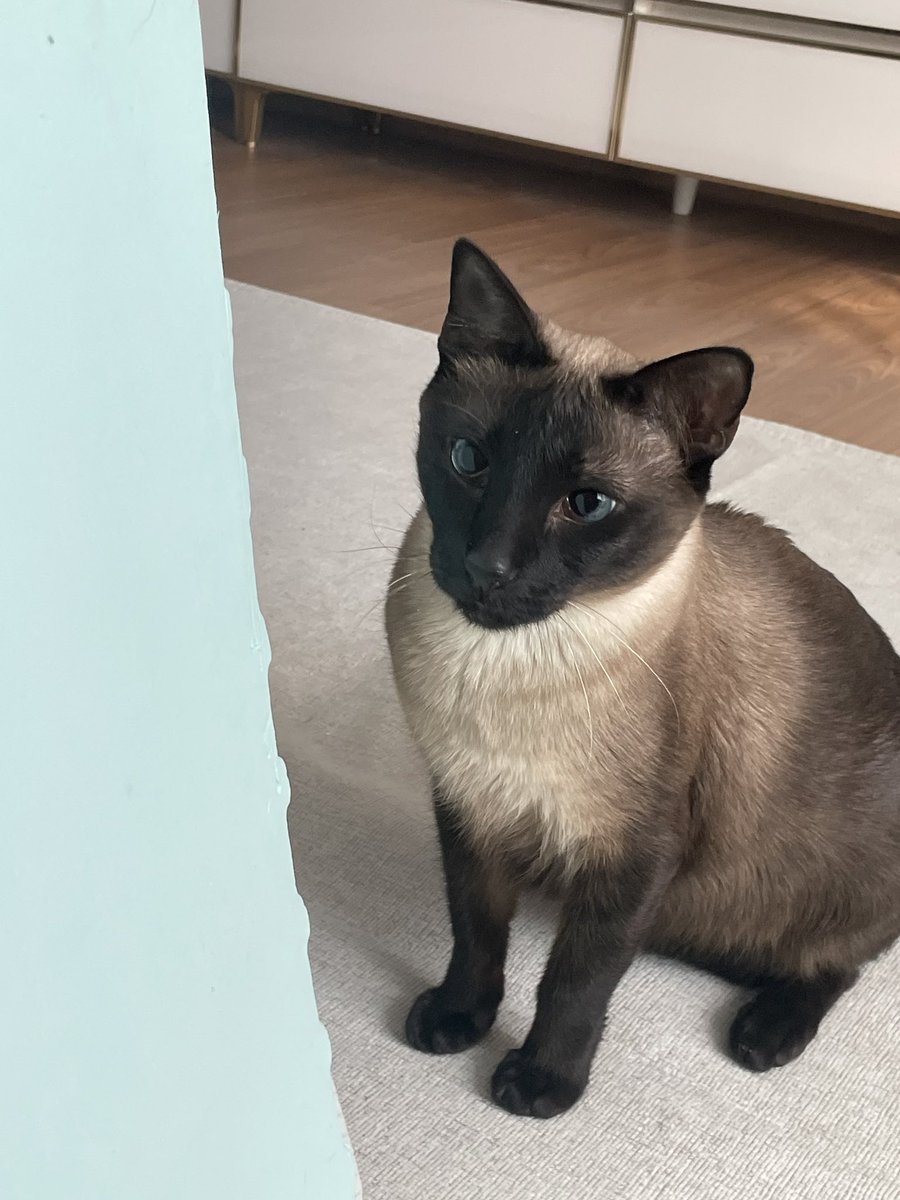 뜨치광이 윤🧶 tweet media