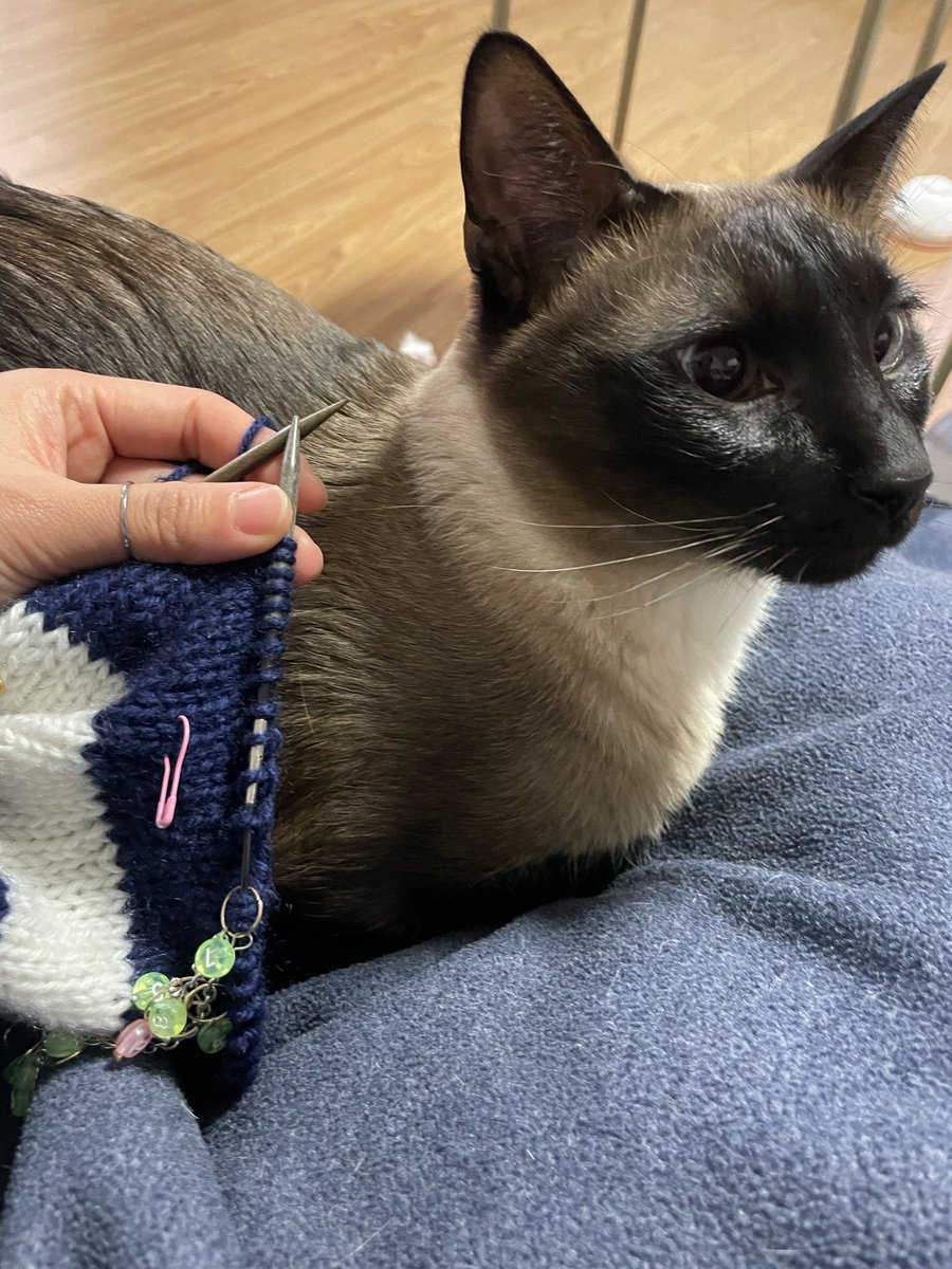 뜨치광이 윤🧶 tweet media