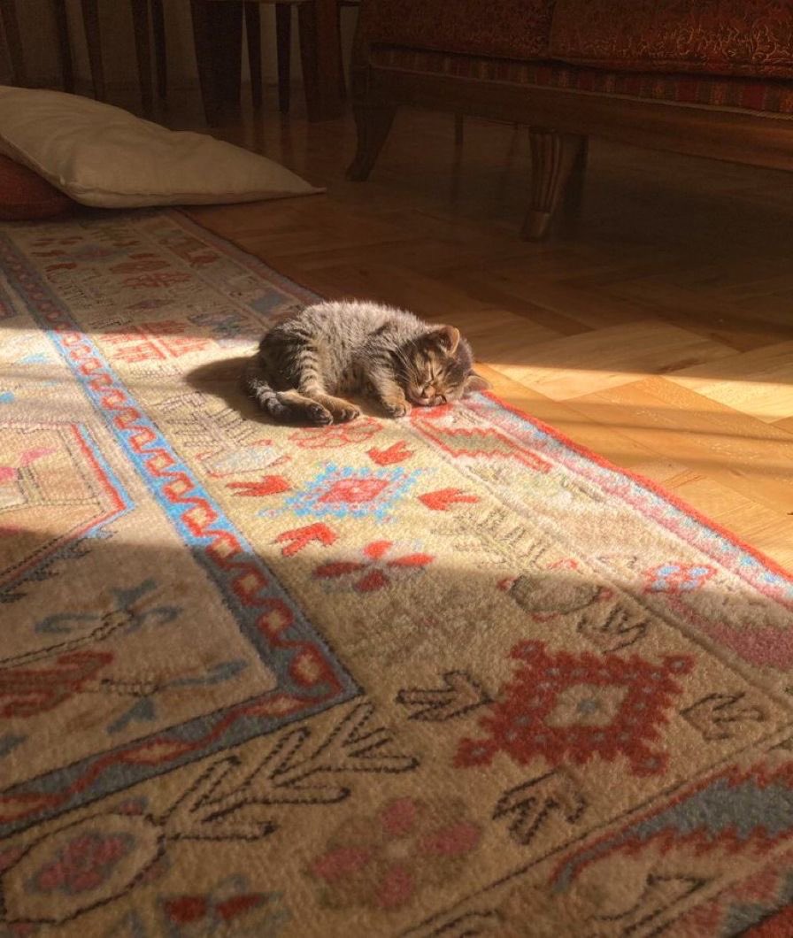 لـورا نایت tweet media