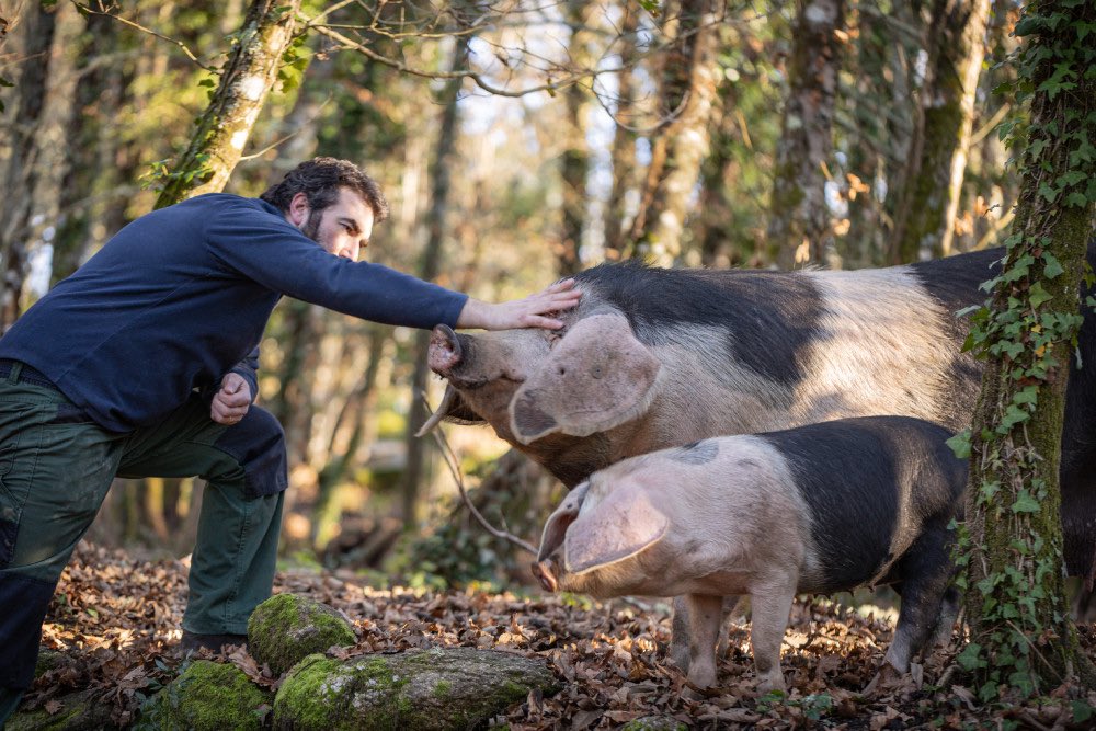 RevistaAlimenta's tweet photo. #MUNDOANIMAL | CienPorCel: embutidos artesanales e innovadores gracias a la cría responsable y sostenible del PORCO CELTA FONSAGRADA SL

👉 https://t.co/Qtkq3m2GBj

#RevistaAlimentaria #Eypasa

@CienPorCel https://t.co/W6a8QlikEB