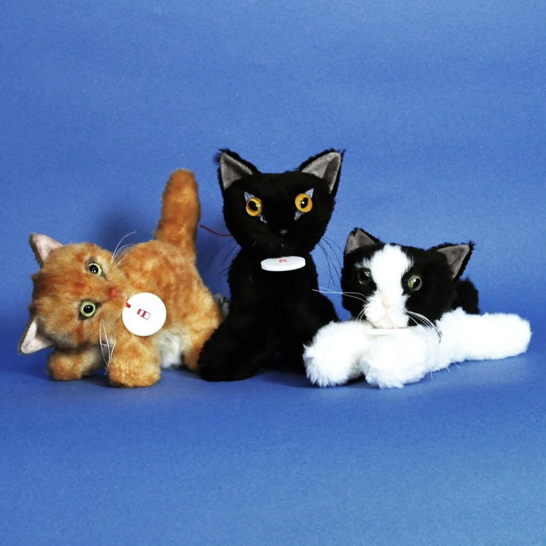 gyunyuya (@gyunyuya_) / Posts / X