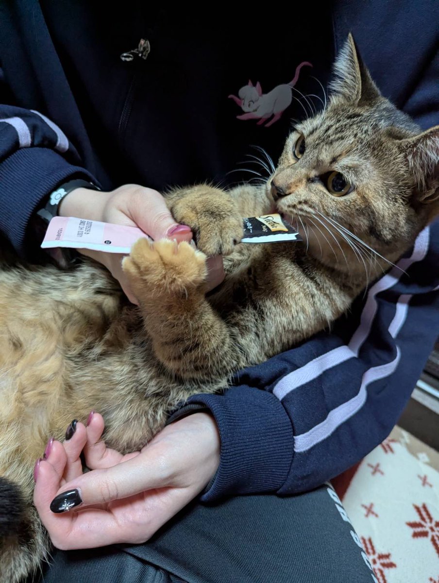 娘のネッコ赤ちゃんみたいでかわいい (°∀°)ﾋｨｨｨｨｨ