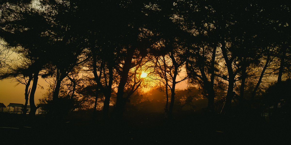 ty 🌿 (@elenielframes) on Twitter photo 