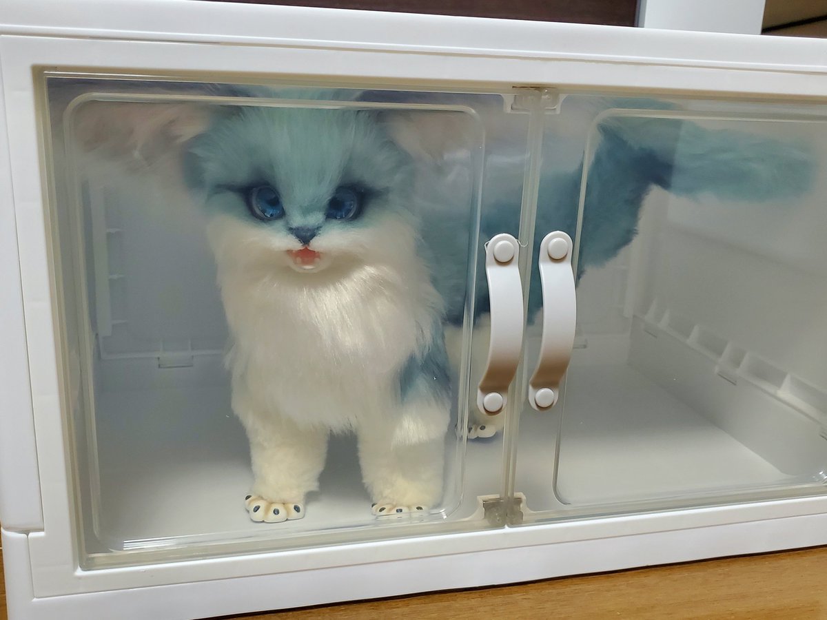 dddollkwii's tweet photo. サメっ子ちゃんの埃避け問題、ダイソーの大き��ほうの収納ケースで解決✨でも心なしかサメっ子ちゃん怒ってる気がする…出しなさいよって顔してる… https://t.co/Dw4QkGFzXJ