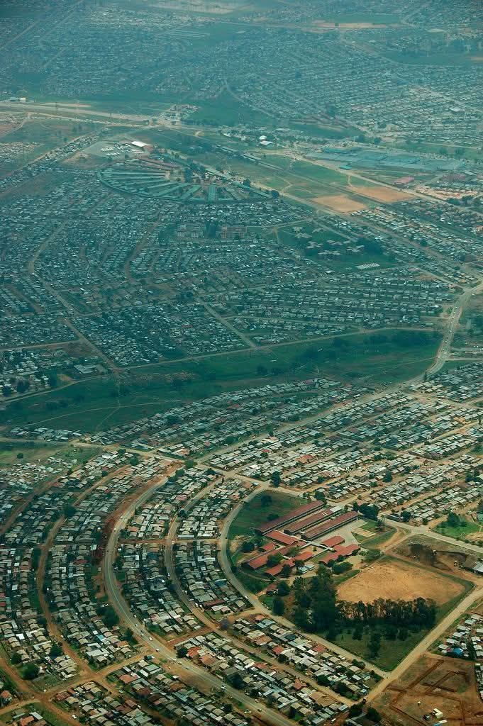 Polycarp The Bibliophile tweet media