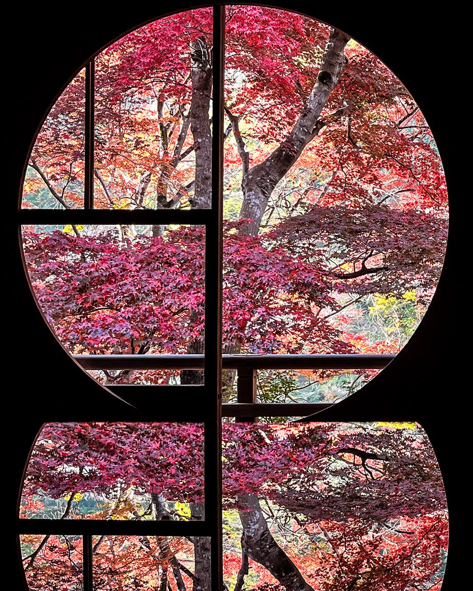 JapanDst's tweet photo. Yusai-tei, Kyoto, Japan https://t.co/06ubfgFvBc