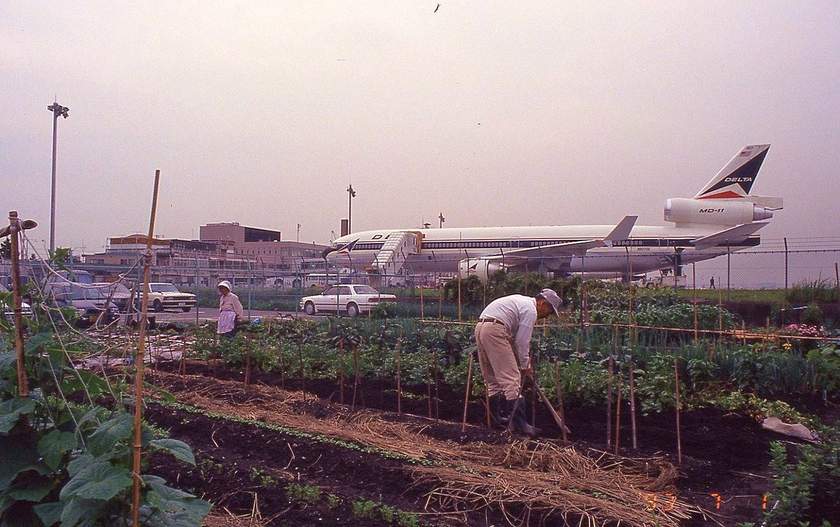 rikizo misono tweet media