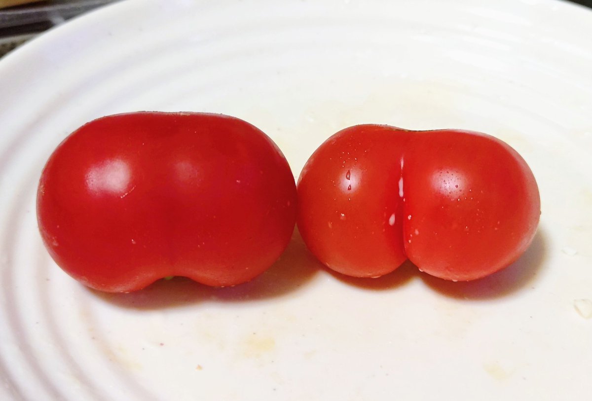 スケ助n tweet media