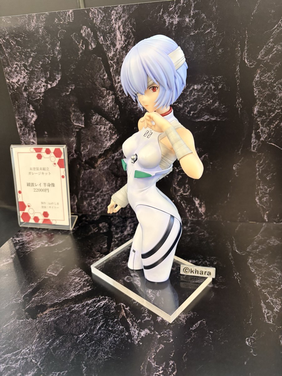 こちらの綾波お写真撮らせていただきましたが、本当に美しかったです