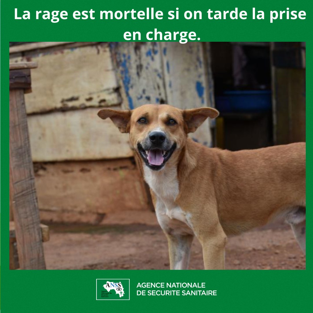 Agence Nationale de Sécurité Sanitaire tweet media