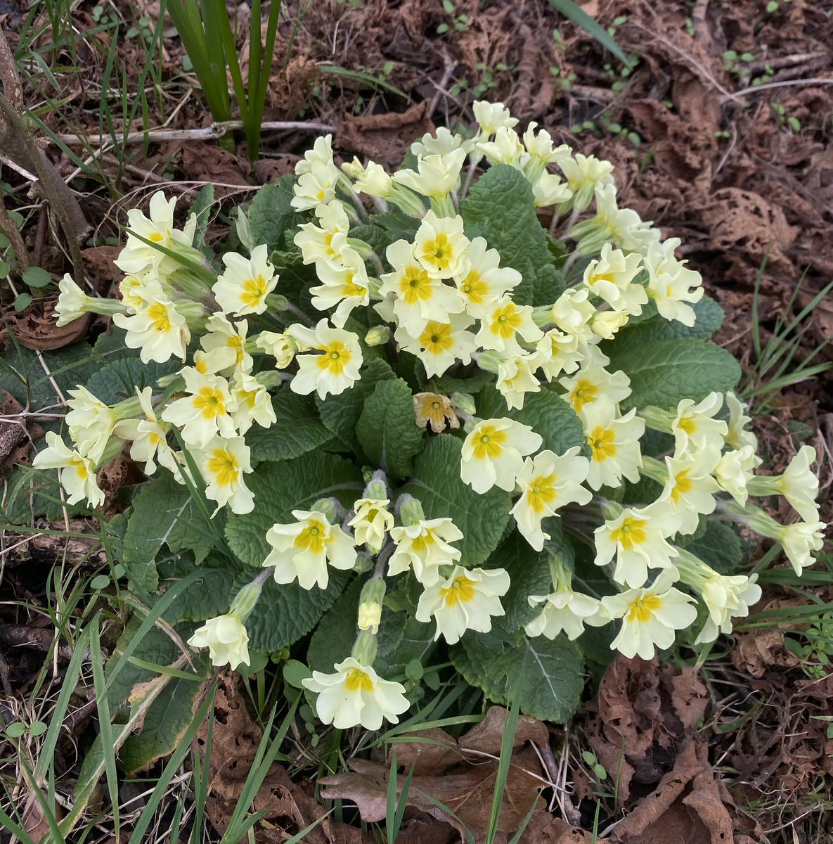 Alan E Down tweet media