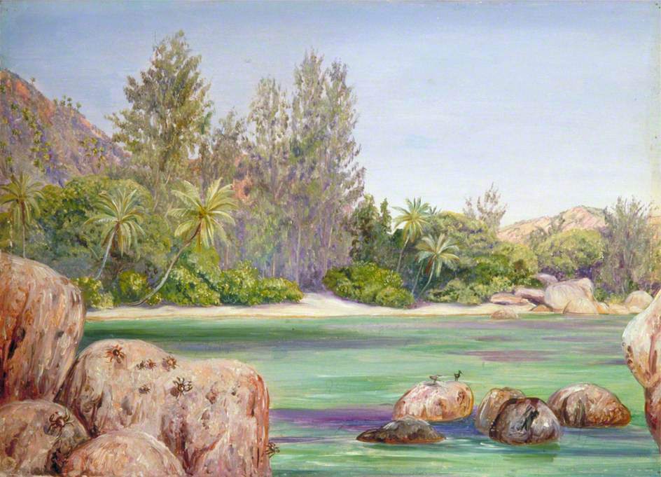 ArtistMNorth's tweet photo. Life on the Coast of Praslin, Seychelles https://t.co/MzfKk3hDhk https://t.co/GG7FYM5Cmo