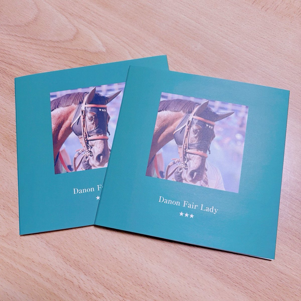 注文していたフェアレディちゃんのフォトブック届いた🐴📕 美少女写真