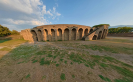 Primitas Learning Partnership tweet media