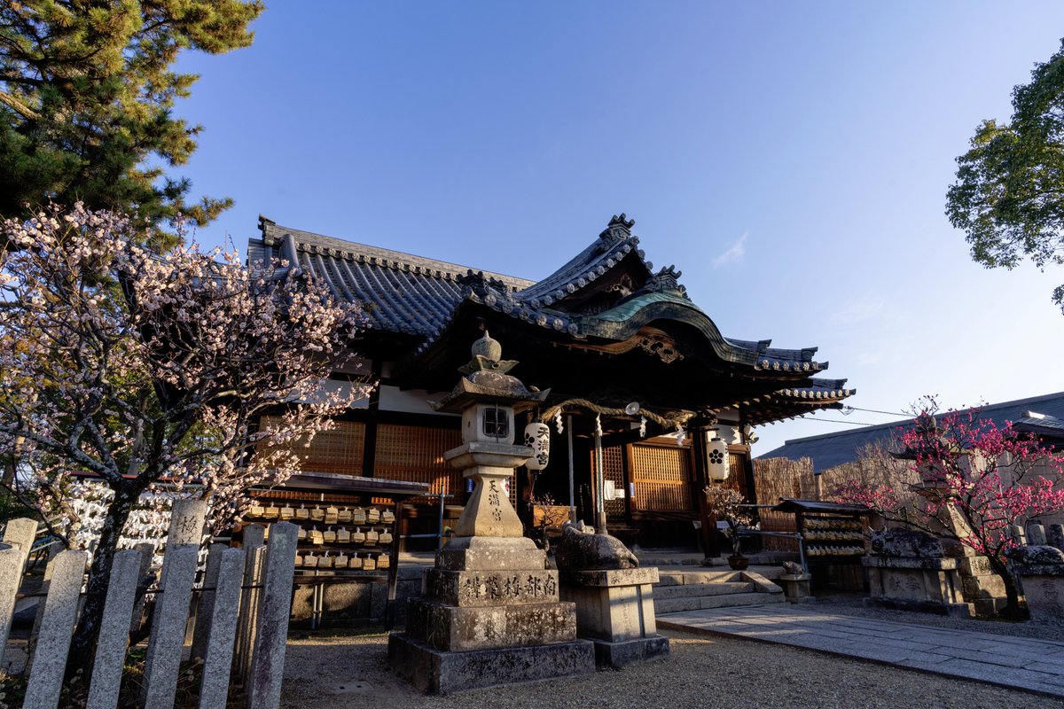 山田 太郎 (@nek54321) / Posts / X