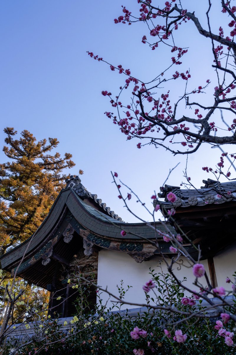 山田 太郎 (@nek54321) / Posts / X