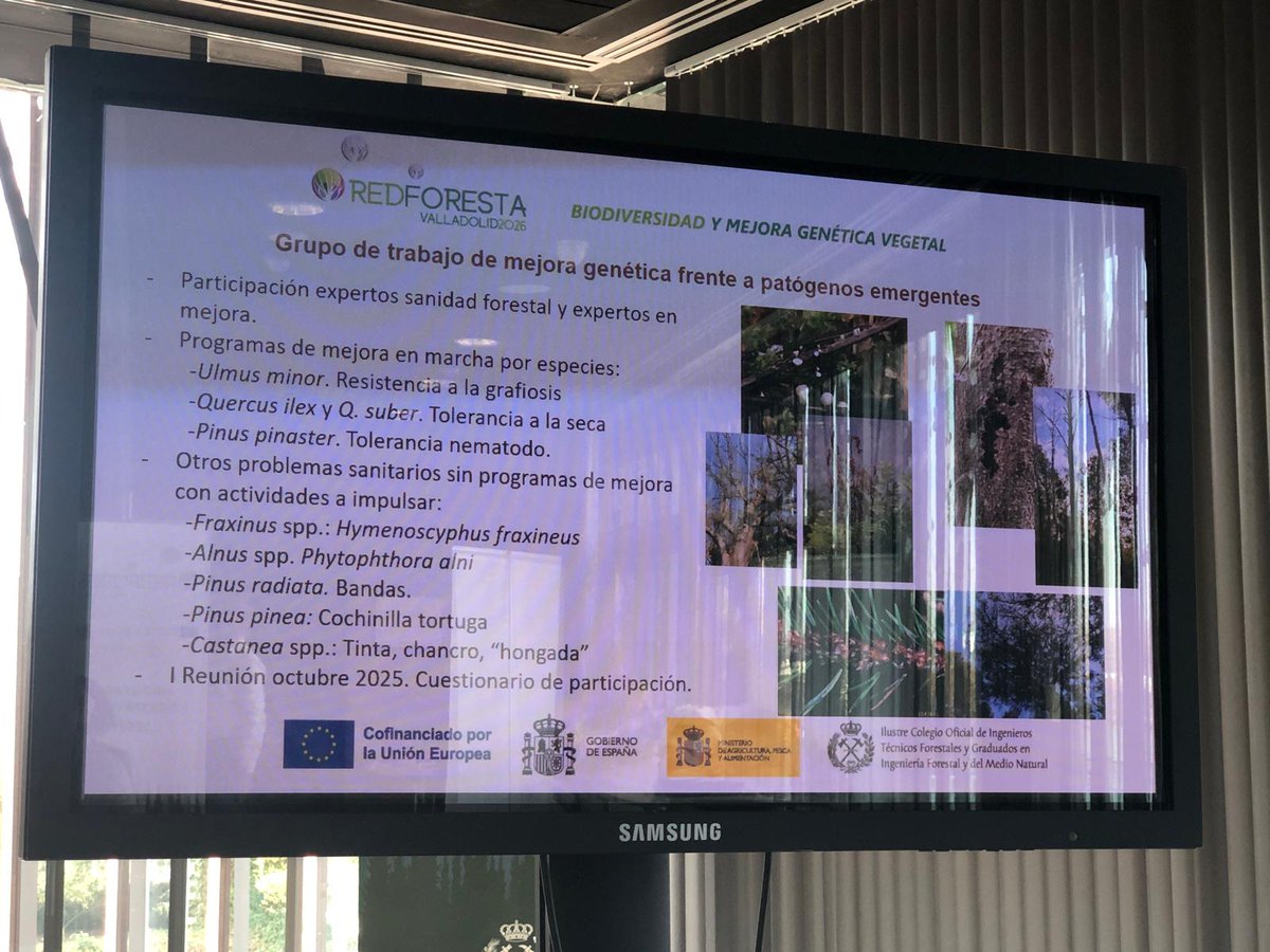 naturalezacyl's tweet photo. En las jornadas técnicas #Redforesta2026, organizadas por @IngForestal50 en el #PRAE, queda de manifiesto la importancia de la mejora genética forestal y el trabajo en el Vivero Central @jcyl para la mejora de la adaptabilidad de las masas ante los escenarios de cambio https://t.co/GMxu9PWUWJ