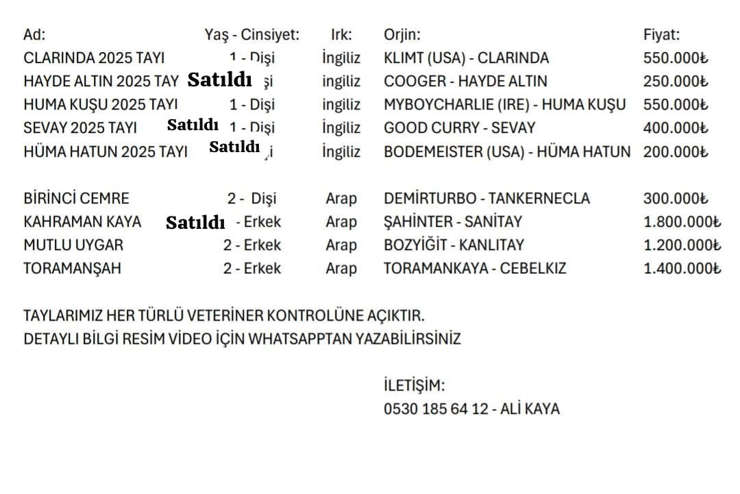 ALİ KAYA tweet media