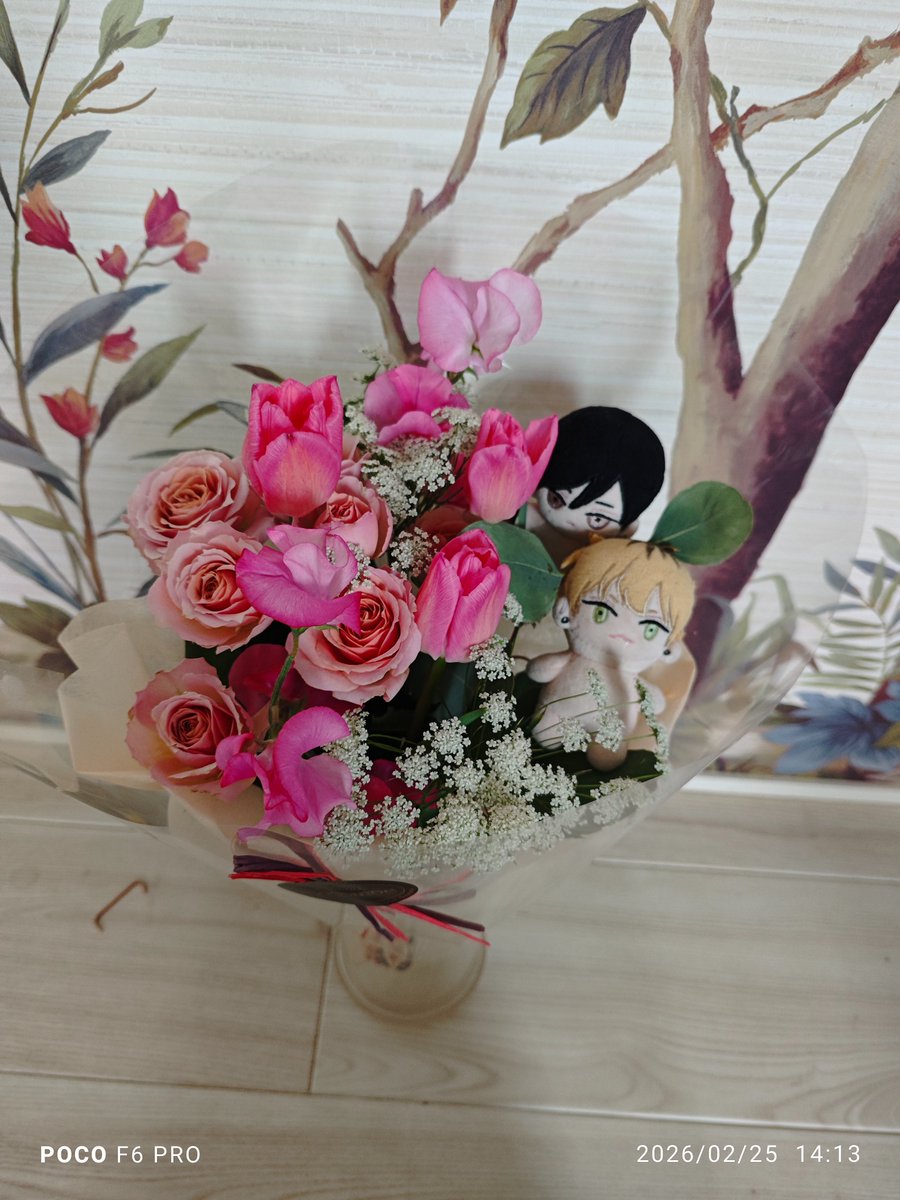 はるいちはるか (@h8aruiti) on Twitter photo 