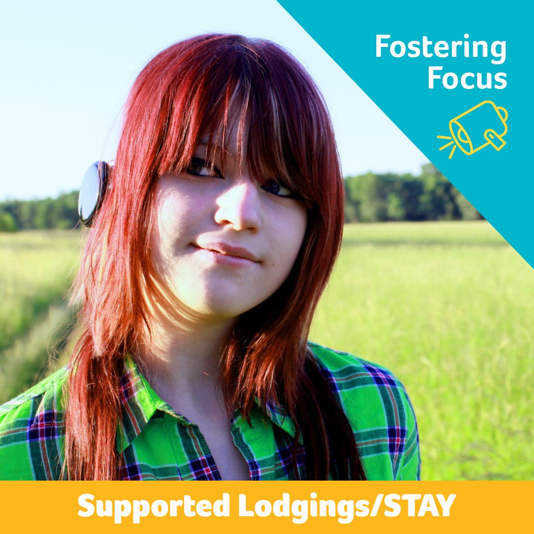 HSC NI Adoption & Foster Care tweet media