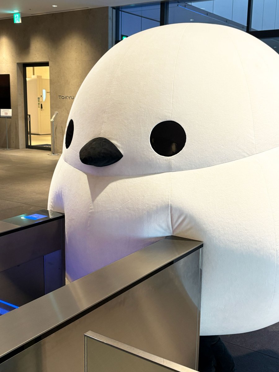 アミューズ AMUFUN【公式】 (@AMUSE_japan) / Posts / X