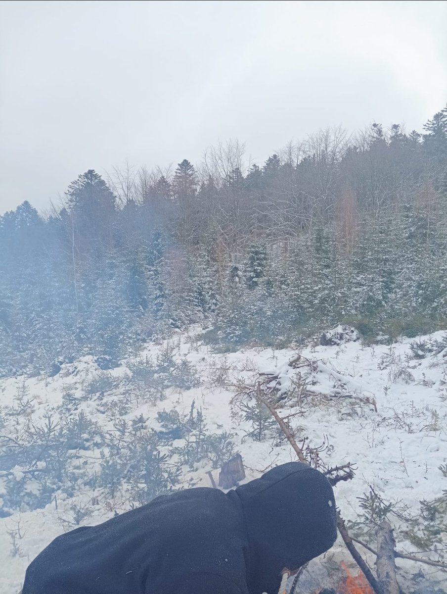 LIGHTHOUSE ACADEMY tweet media