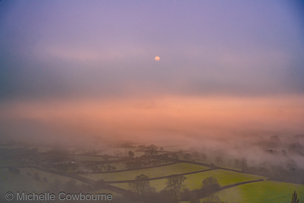 Michelle Cowbourne tweet media