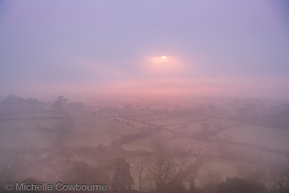 Michelle Cowbourne tweet media