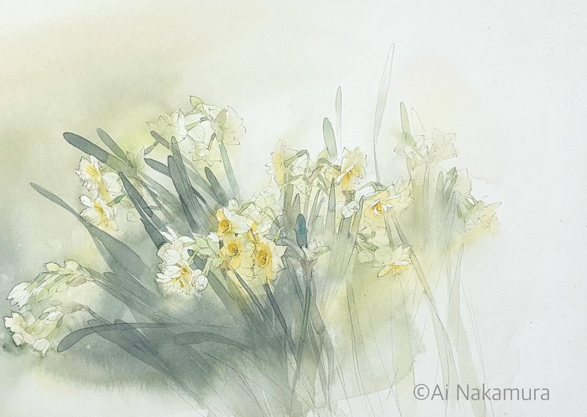 「水仙のかおり」

#透明水彩　#watercolorpaithing  #シュミンケホラダム