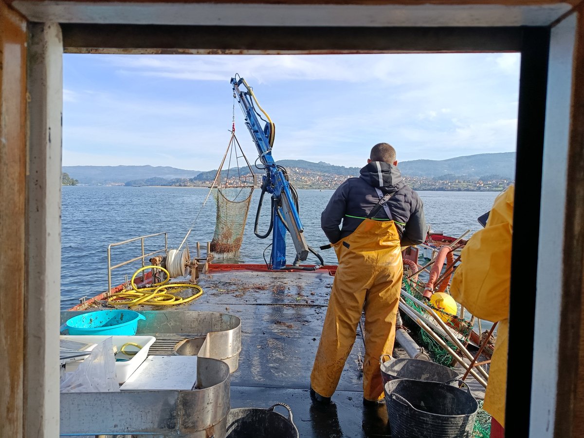 Instituto Español de Oceanografía (IEO-CSIC) tweet media