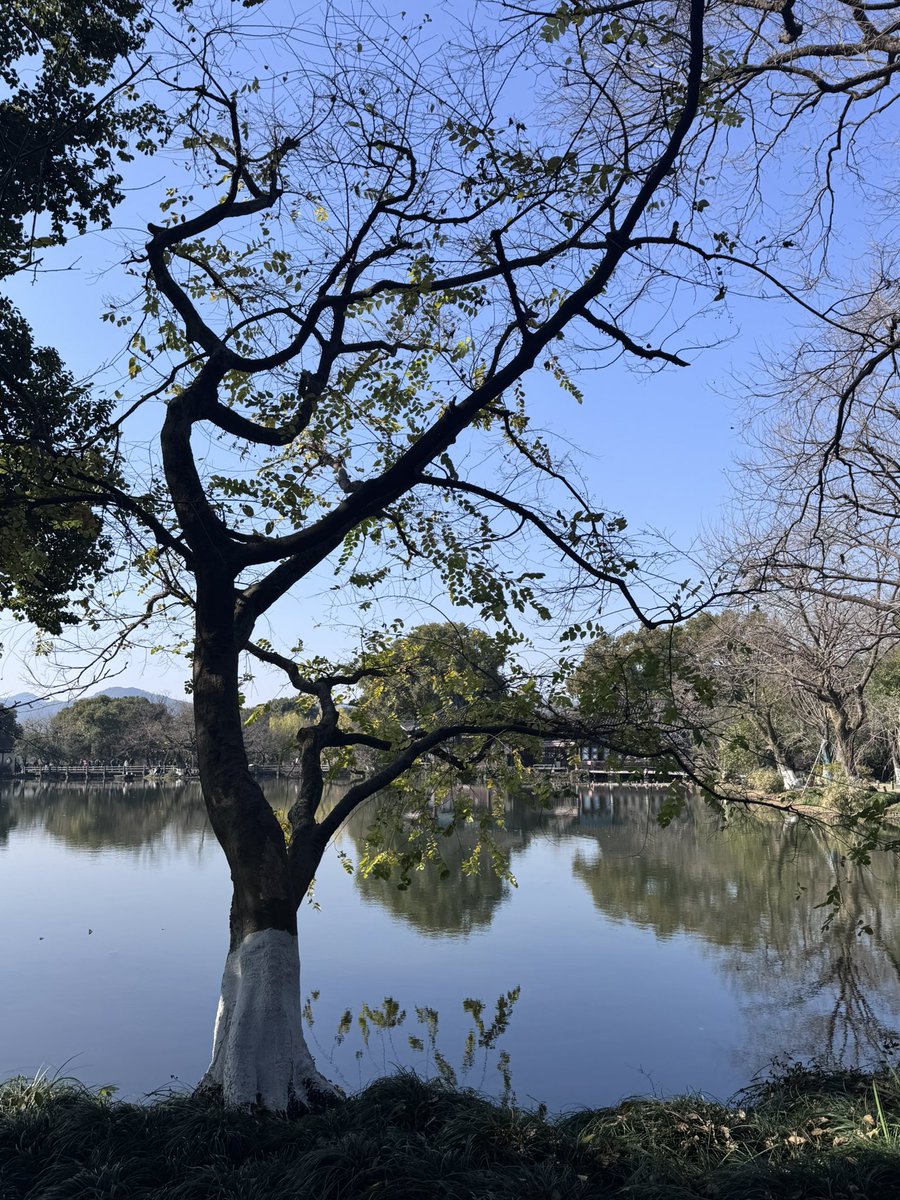 对称式设计 tweet media
