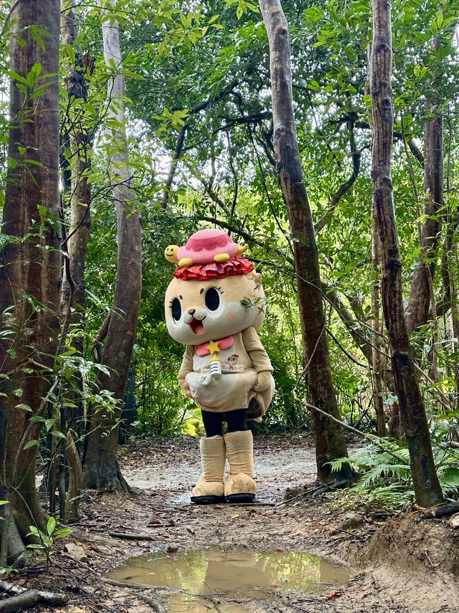 ちいたん☆ (@mickeyentry) / Posts / X