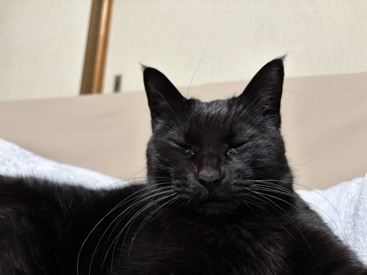 ねむねむベルちゃん🥱